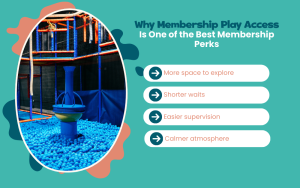 Why Membership Play Access Is One of the Best Membership Perks Infographic